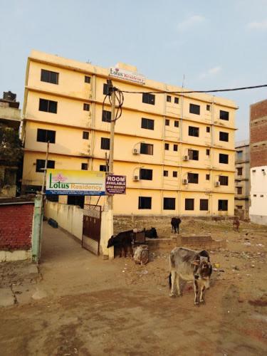 Lotus Residency Hotel Bodh Gaya Exterior photo